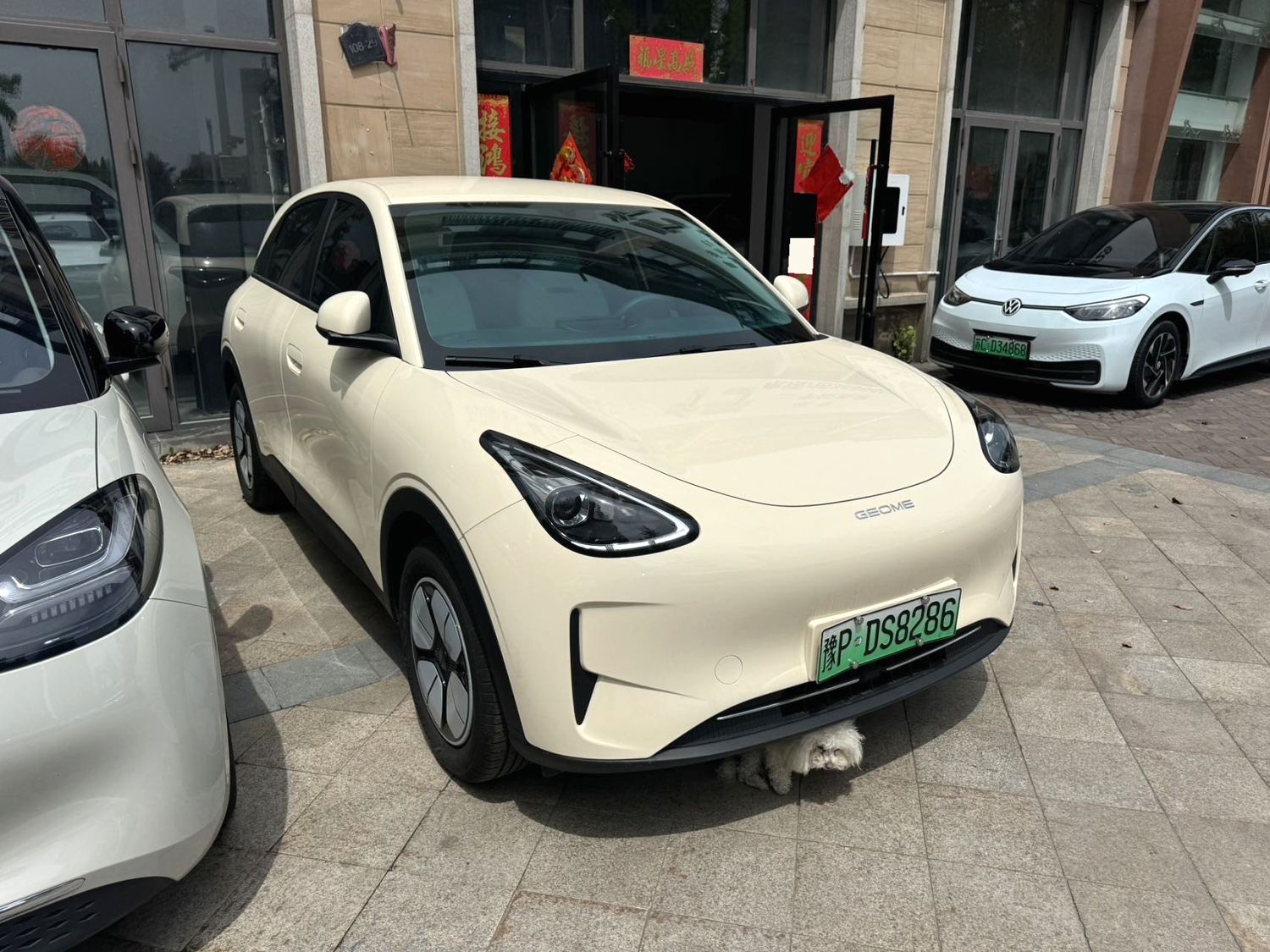 星愿 Model Year 310km 青春版