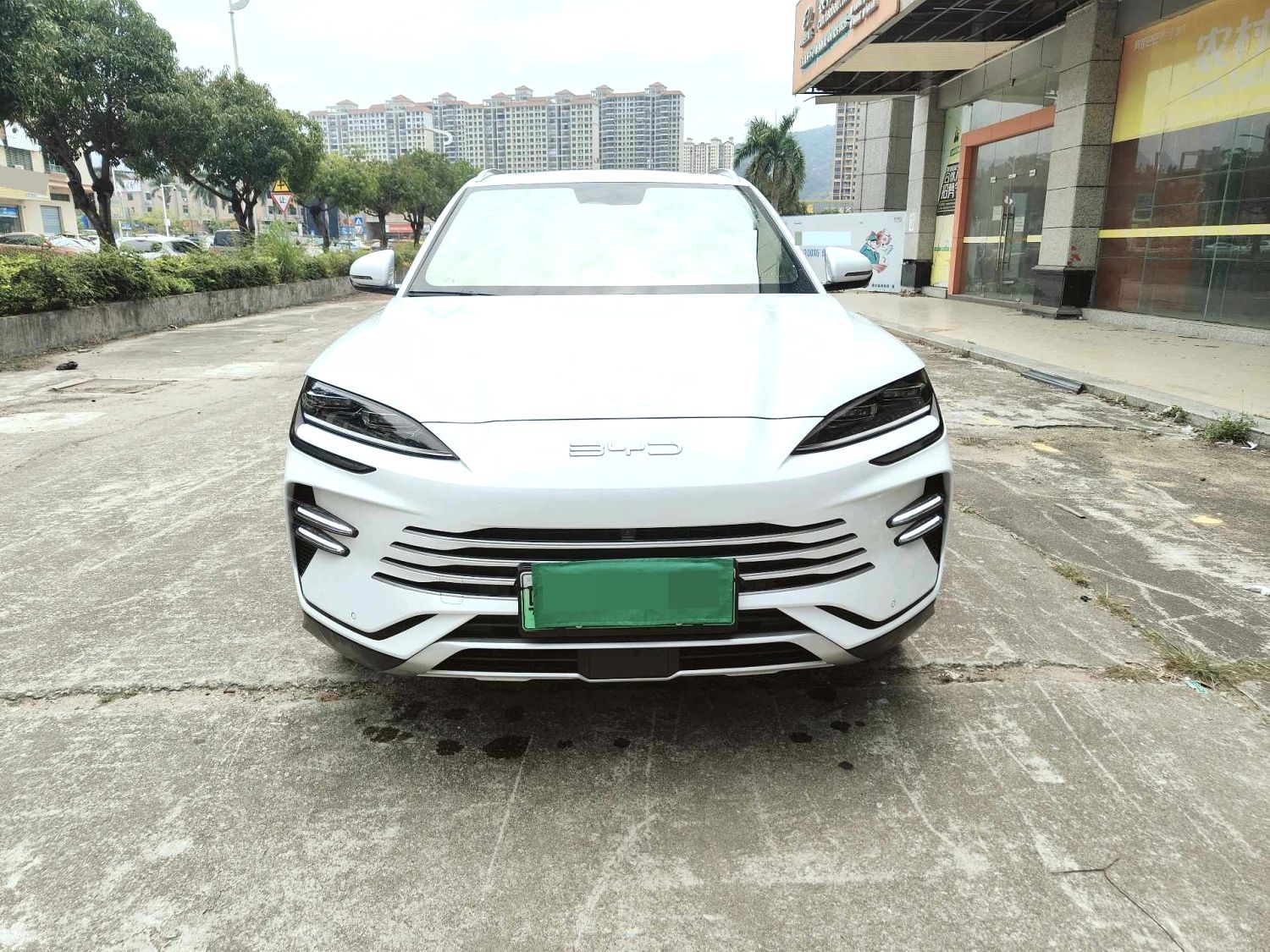 宋 PLUS New Energy Model Year 荣耀版 DM i 110km Flagship