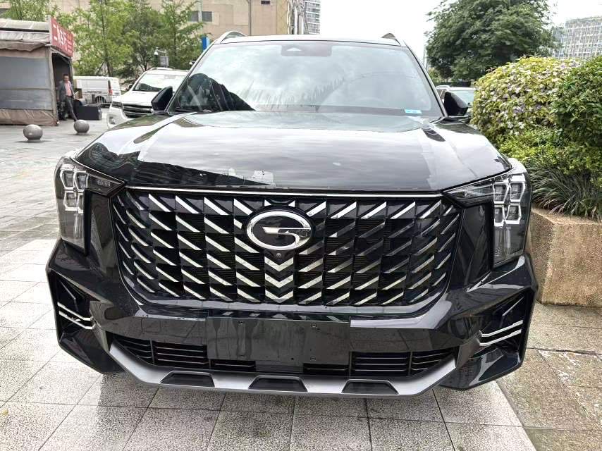 传祺 GS 8 Model Year 领航系列 2.0TGDI 两驱豪华智联版 七座