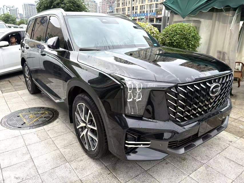 传祺 GS 8 Model Year 领航系列 2.0TGDI 两驱豪华智联版 七座