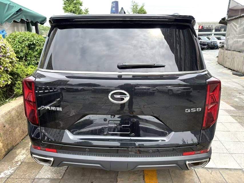 传祺 GS 8 Model Year 领航系列 2.0TGDI 两驱豪华智联版 七座