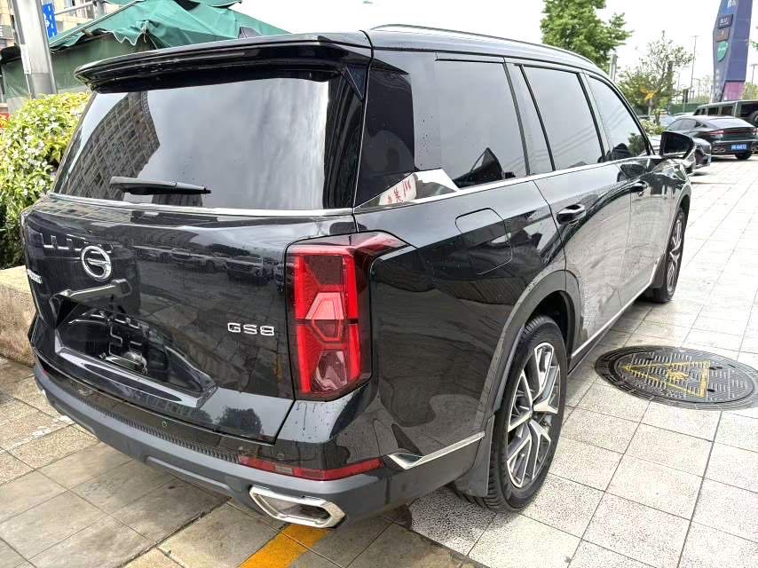 传祺 GS 8 Model Year 领航系列 2.0TGDI 两驱豪华智联版 七座