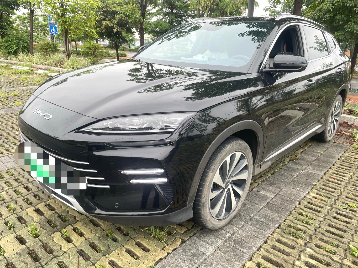 BYD PLUS New Energy DM i 71km Luxury