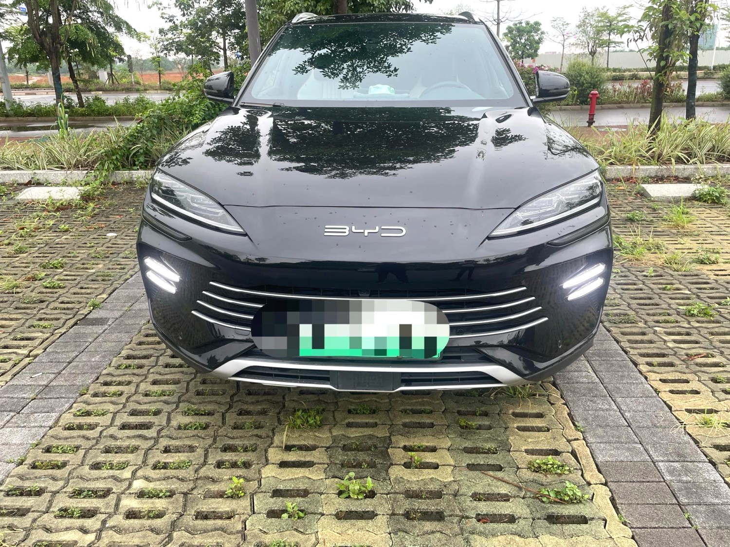 BYD PLUS New Energy DM i 71km Luxury