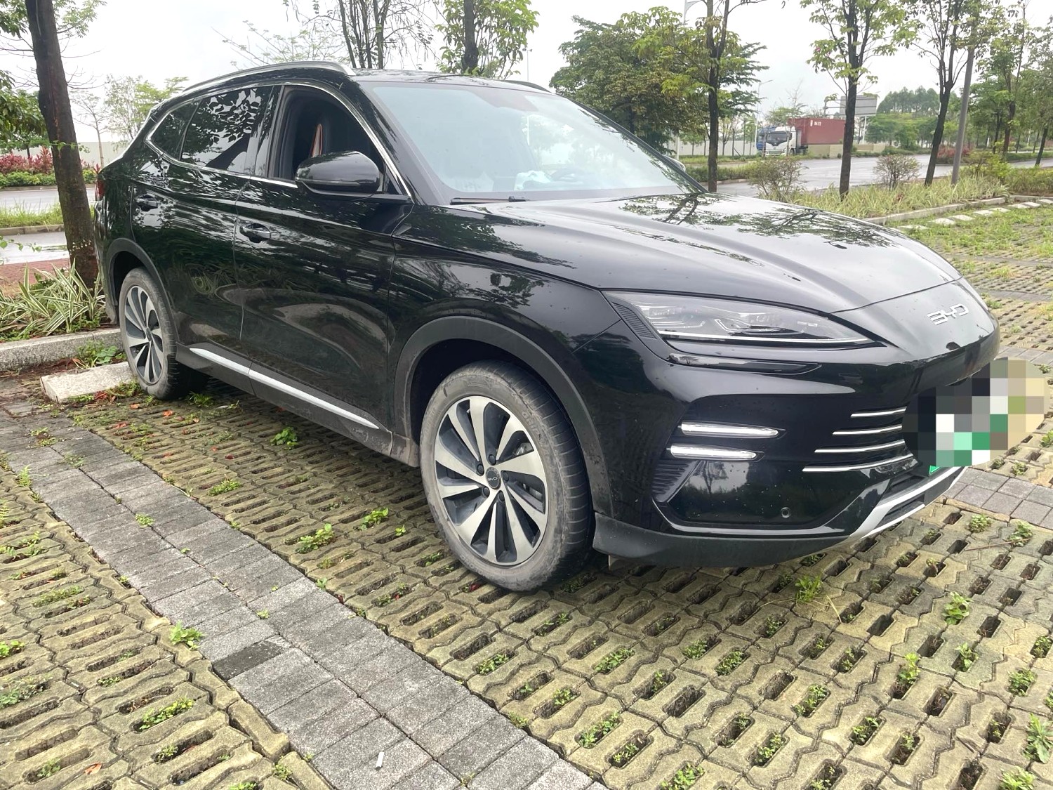 BYD PLUS New Energy DM i 71km Luxury