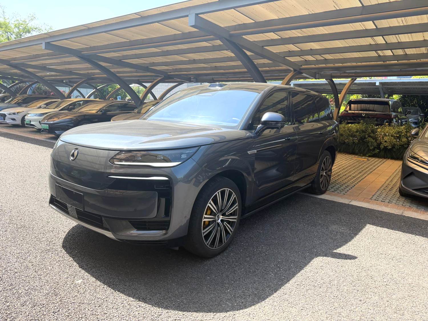 Denza N 9 Flagship