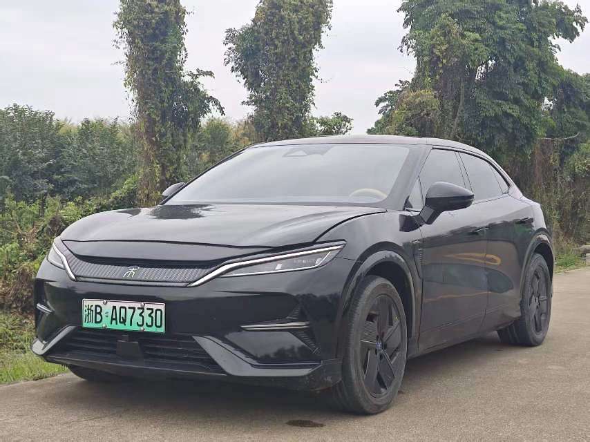 BYD L (Liter) Electric Vehicle 550km