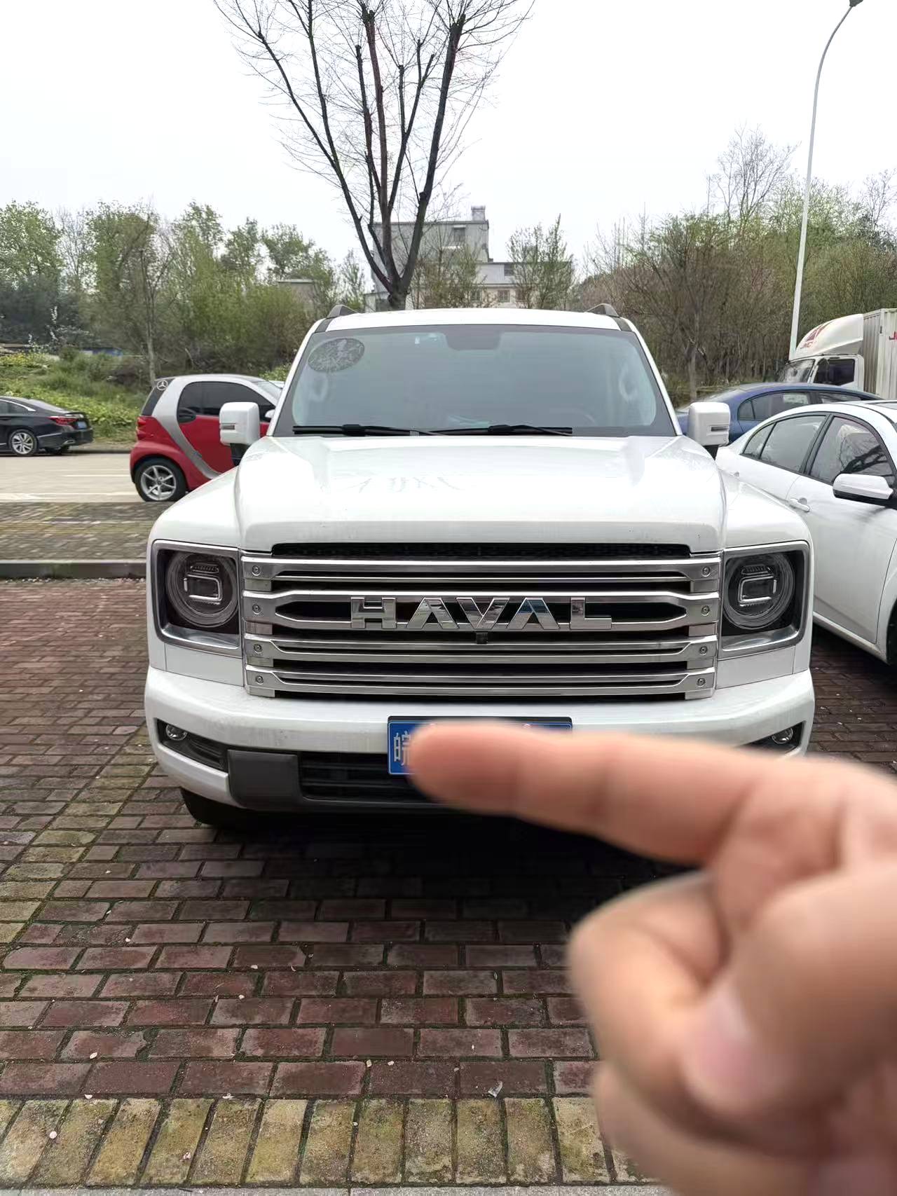 哈弗 H 9 Model Year 2.0T 汽油四驱探境版