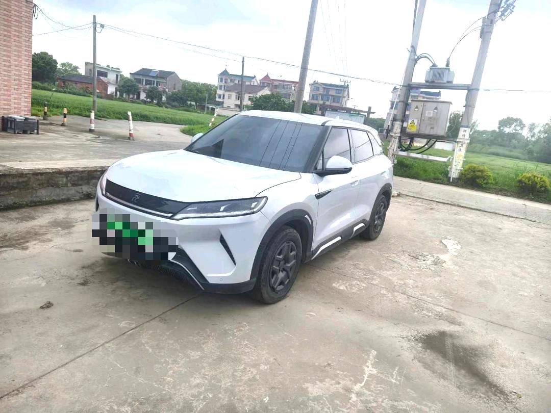 BYD UP 401KM Vitality