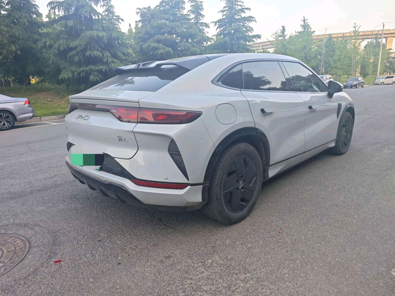 宋 L (Liter) Electric Vehicle Model Year 550km 卓越型