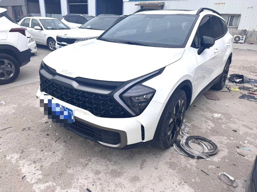 Kia 2.0T 2WD Premium