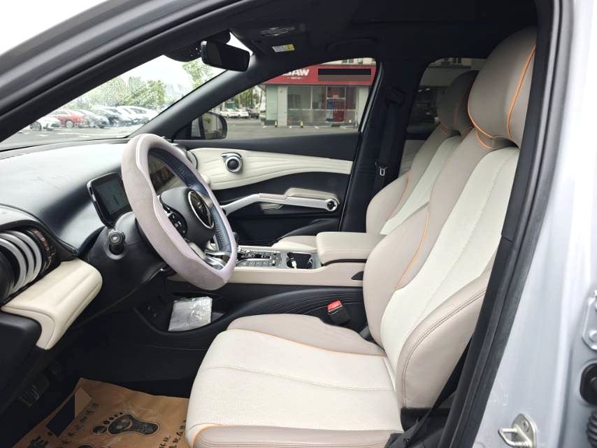 元 PLUS Model Year 荣耀版 510KM 超越型