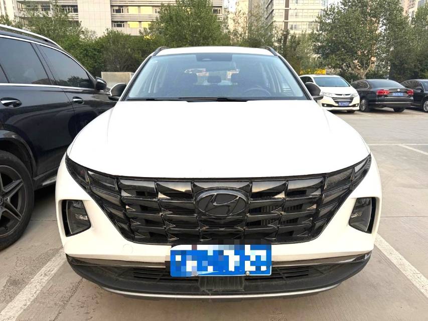 途胜 Model Year 途胜 L (Liter) 1.5T DCT 4WD LUX 尊贵版