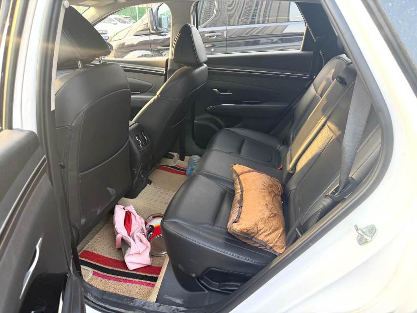 途胜 Model Year 途胜 L (Liter) 1.5T DCT 4WD LUX 尊贵版