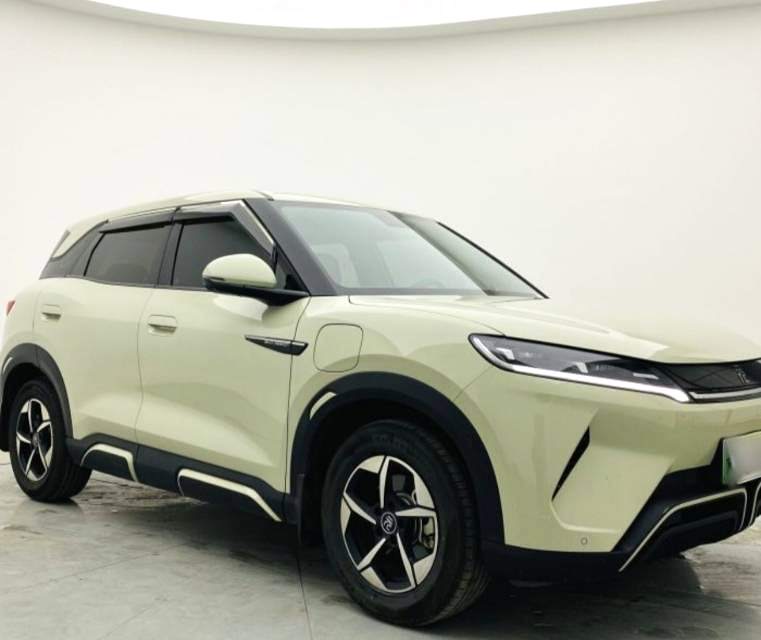 元 UP Model Year 401KM Advanced