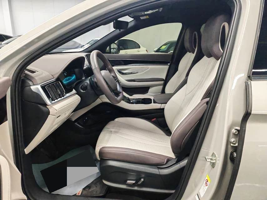 BYD PLUS New Energy Electric Vehicle 520km Premium
