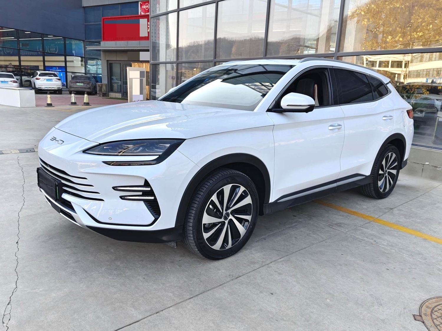 BYD PLUS New Energy DM i 110km Flagship