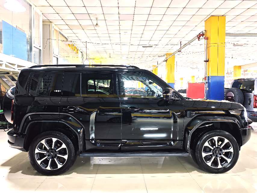 豹 5 Model Year 天神智驾 Max Version