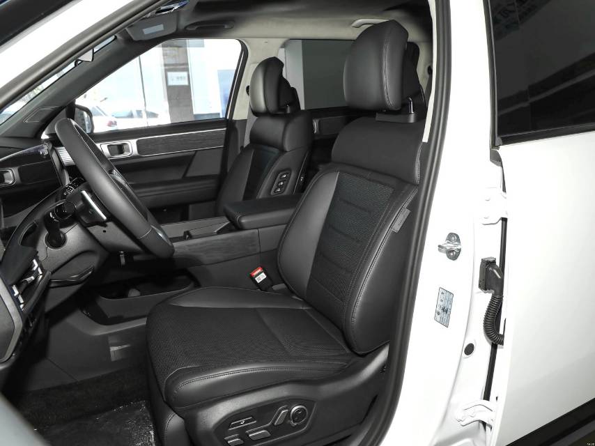 Hyundai Santa Fe 2.0T Pro Max