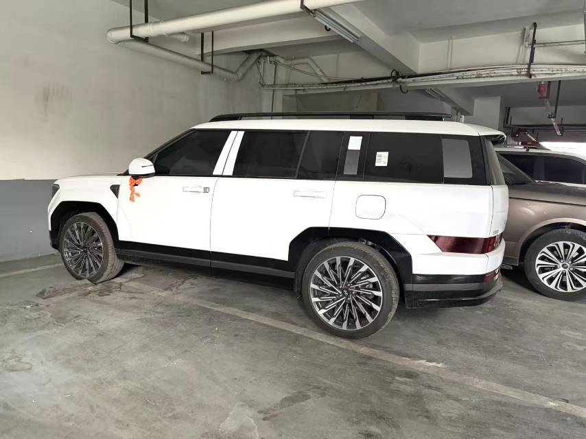 Hyundai Santa Fe 2.0T Pro