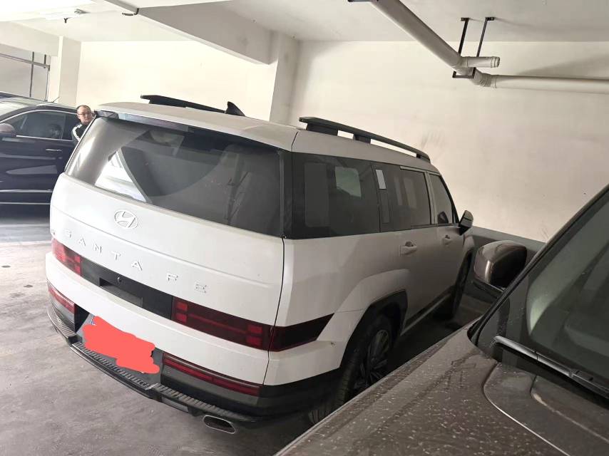 Hyundai Santa Fe 2.0T Pro