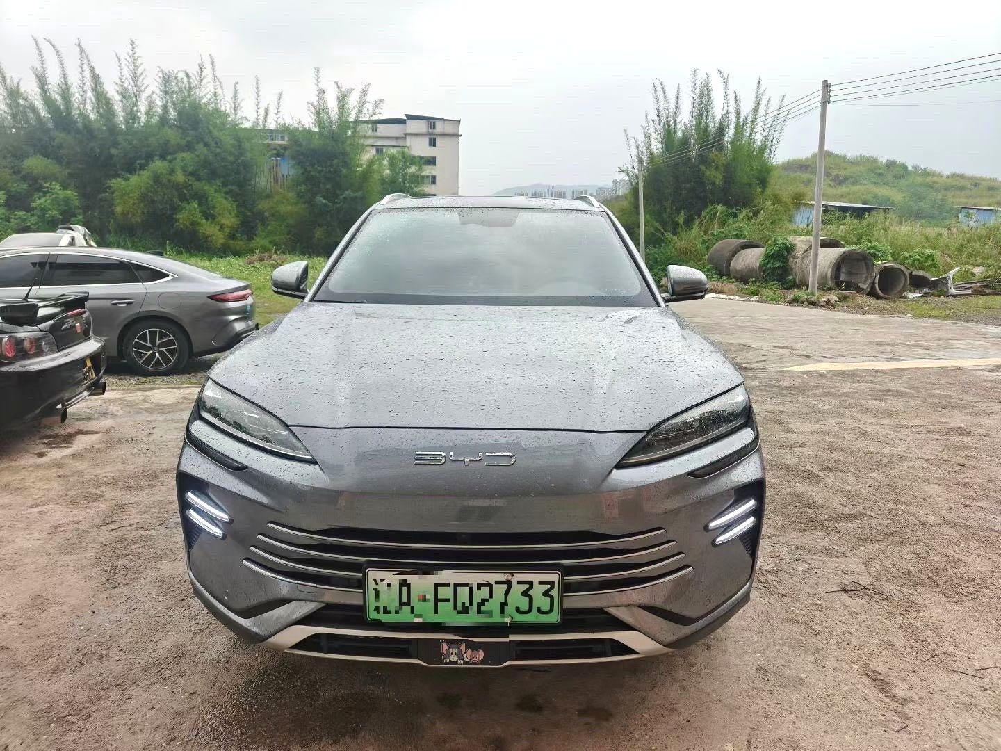 宋 PLUS New Energy Model Year 荣耀版 DM i 110km 旗舰 PLUS