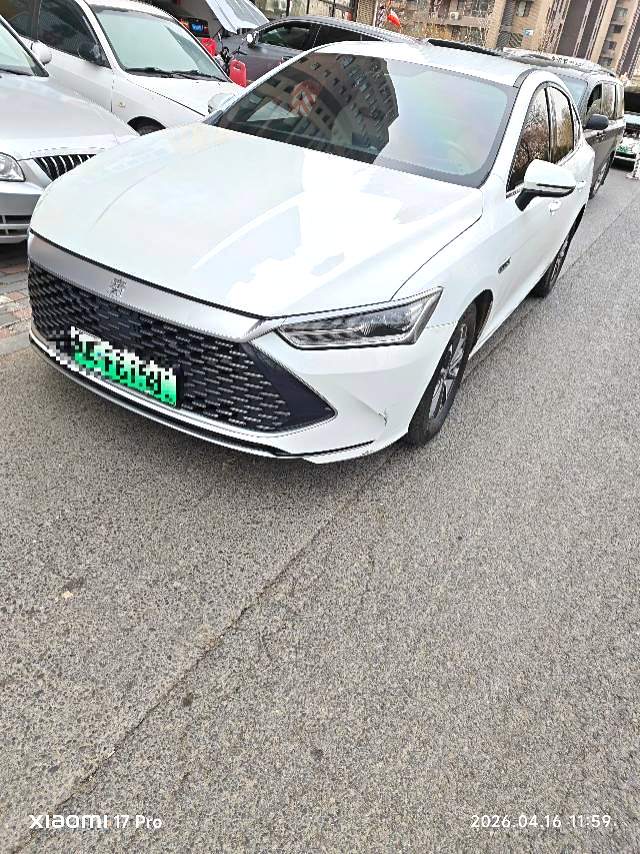 秦 PLUS Model Year DM i 55KM Premium