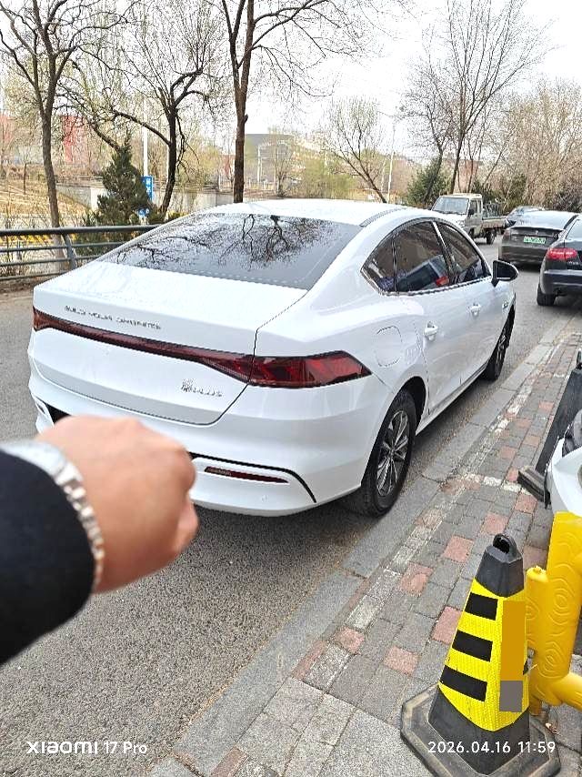秦 PLUS Model Year DM i 55KM Premium