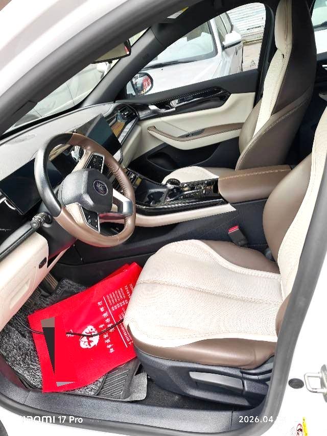 秦 PLUS Model Year DM i 55KM Premium