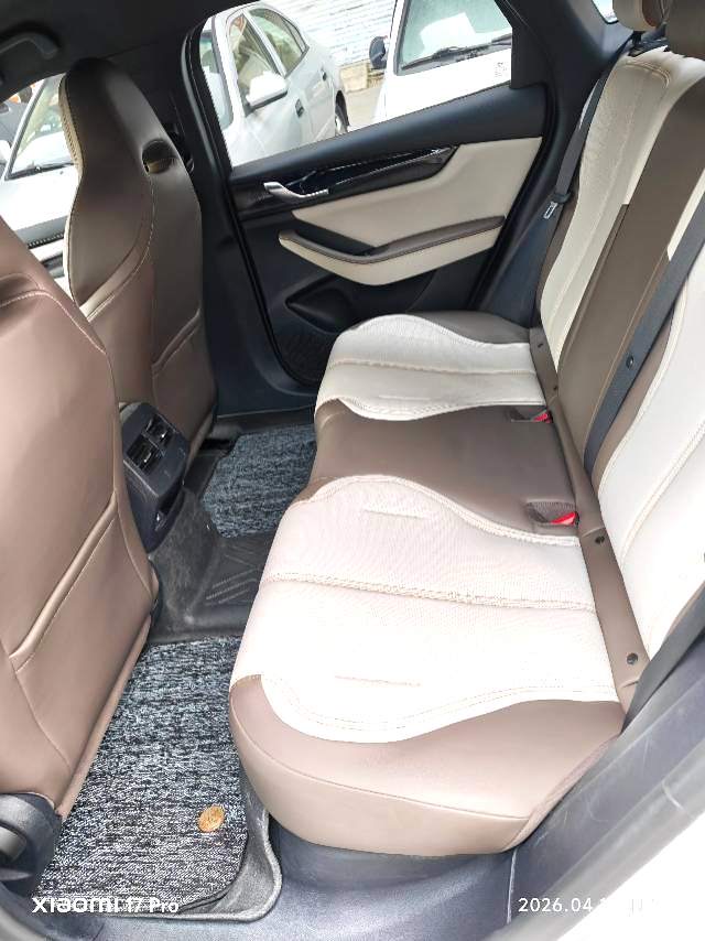 秦 PLUS Model Year DM i 55KM Premium