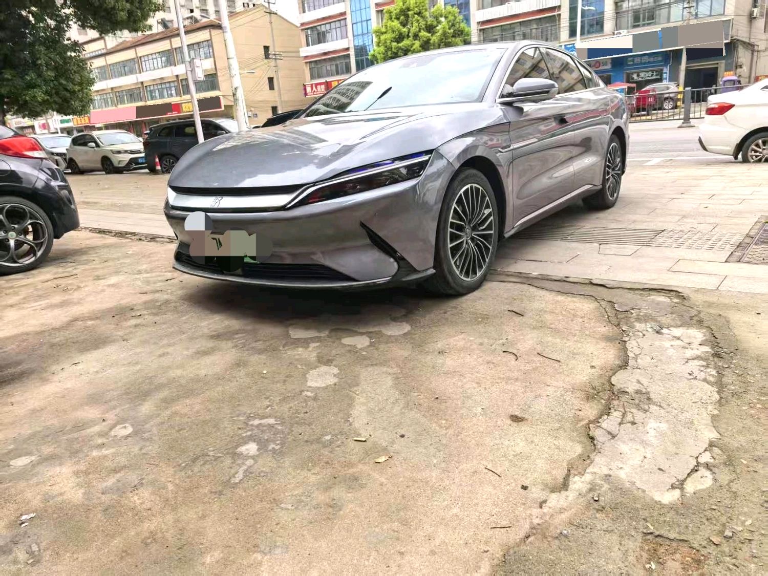 汉 Model Year Electric Vehicle 标准续航版豪华型