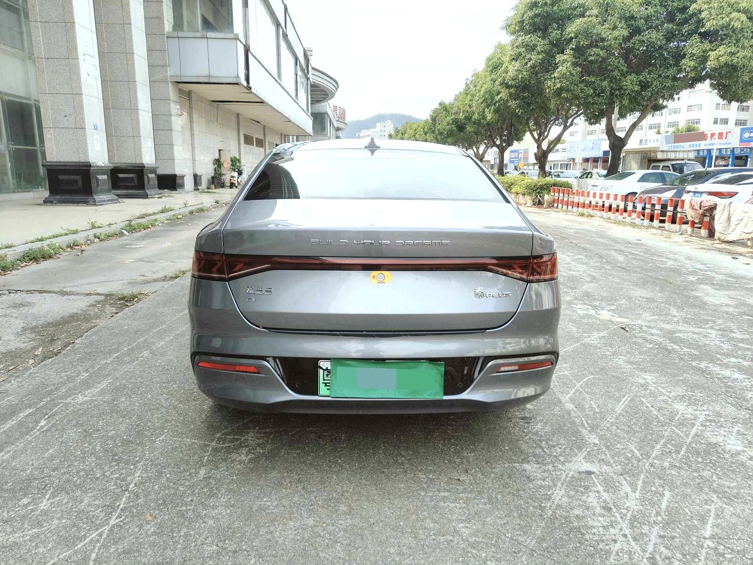 秦 PLUS Model Year Electric Vehicle 500KM Luxury
