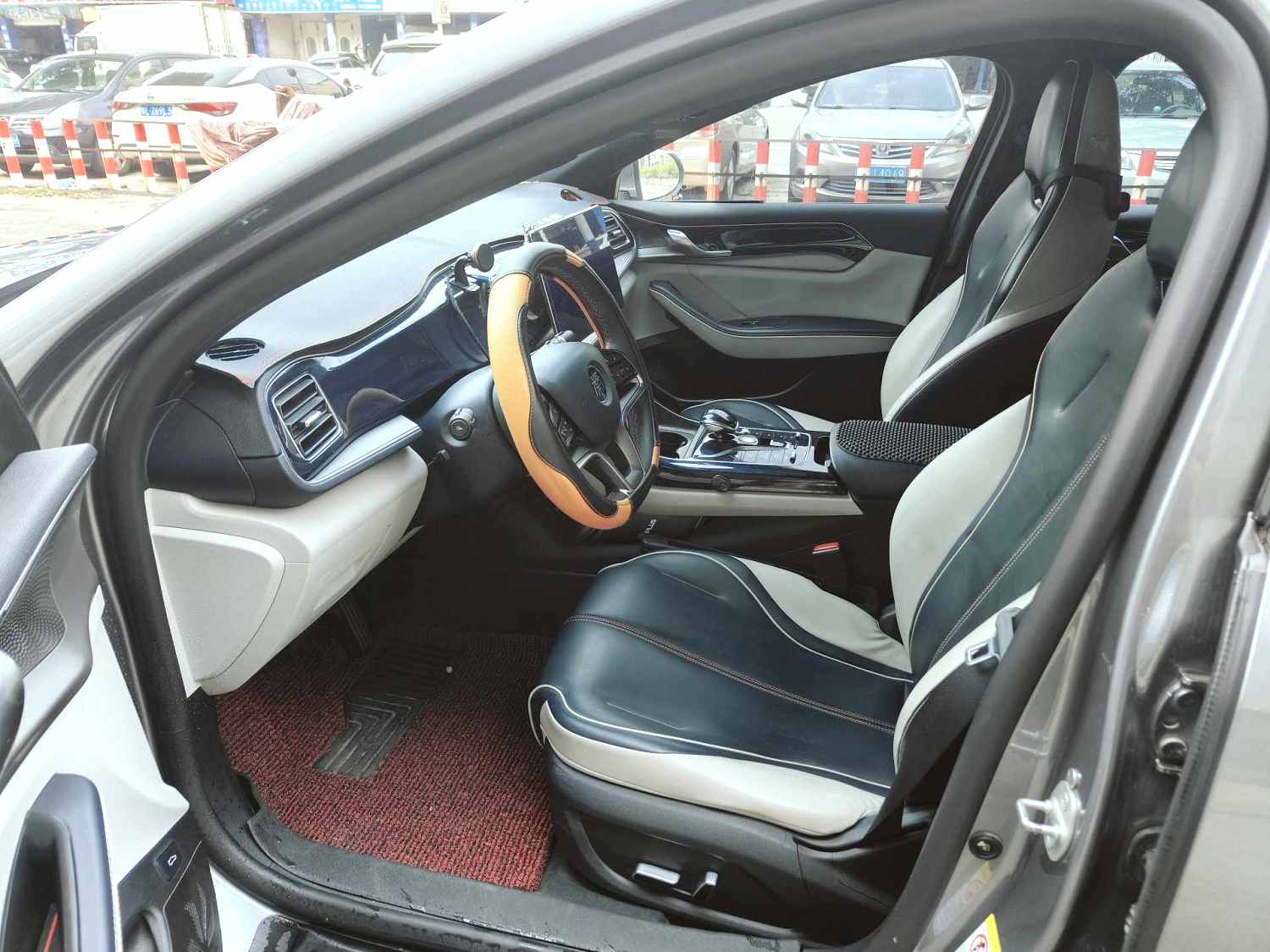 秦 PLUS Model Year Electric Vehicle 500KM Luxury