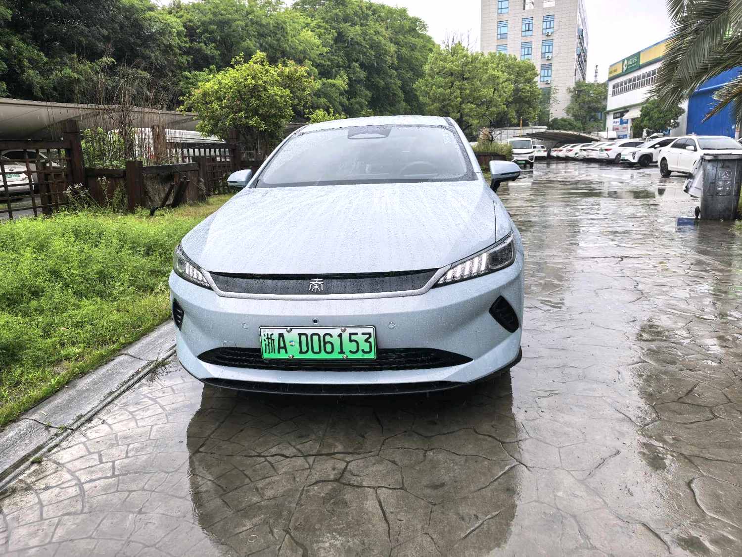 BYD PLUS Electric Vehicle 510KM Advanced