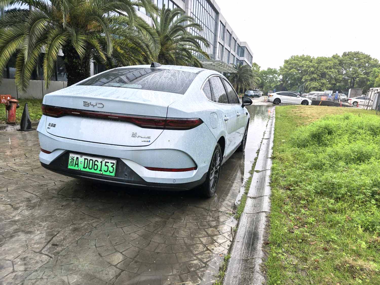 秦 PLUS Model Year Electric Vehicle 智驾版 510KM Advanced