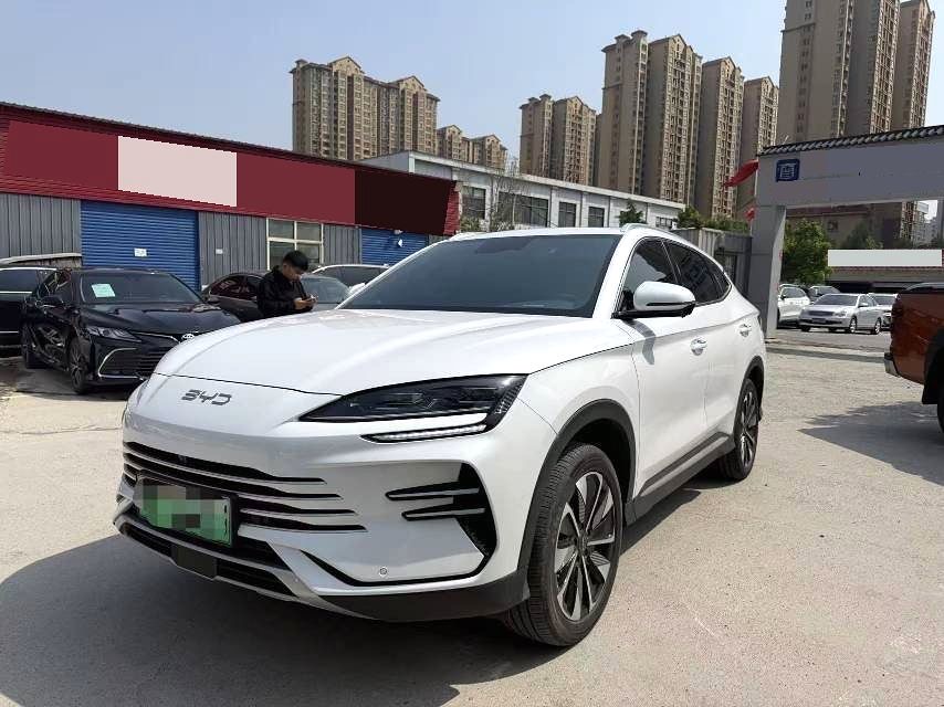 BYD PLUS New Energy DM i 112KM Premium