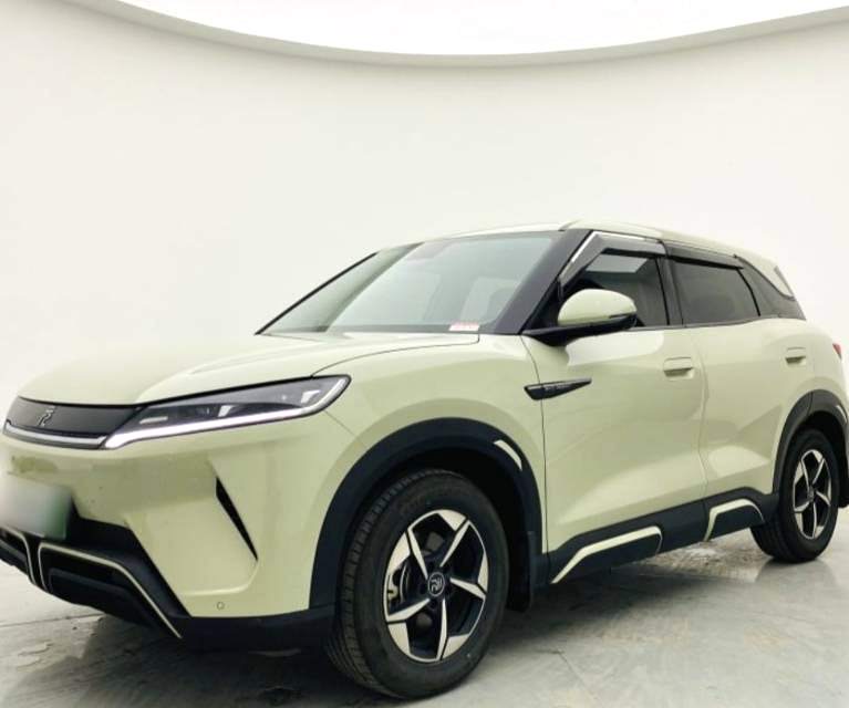 BYD UP 401KM Advanced