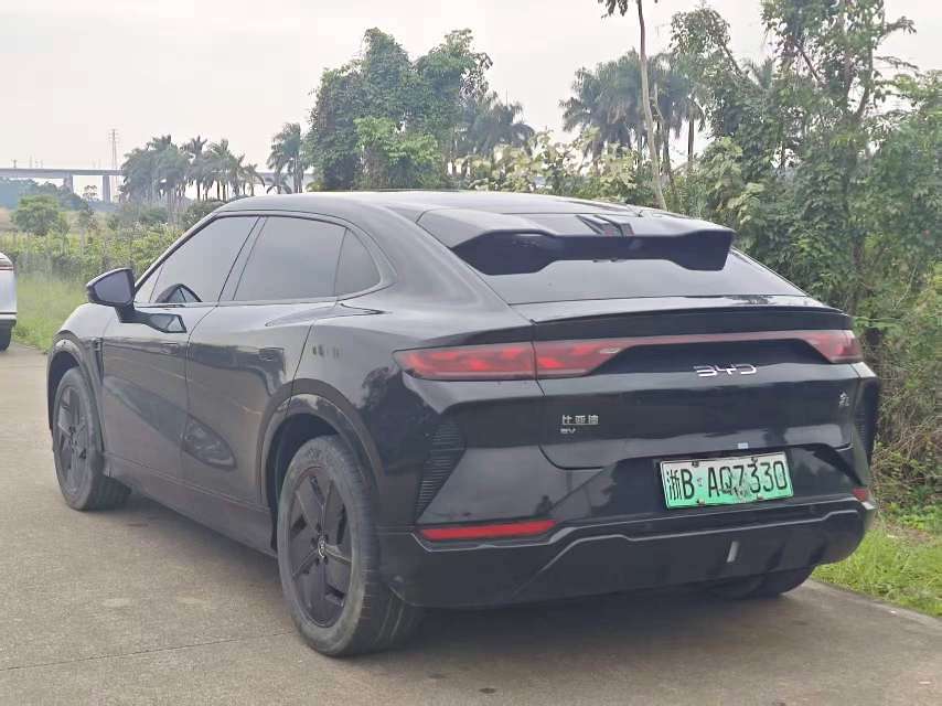 宋 L (Liter) Electric Vehicle Model Year 550km 超越型