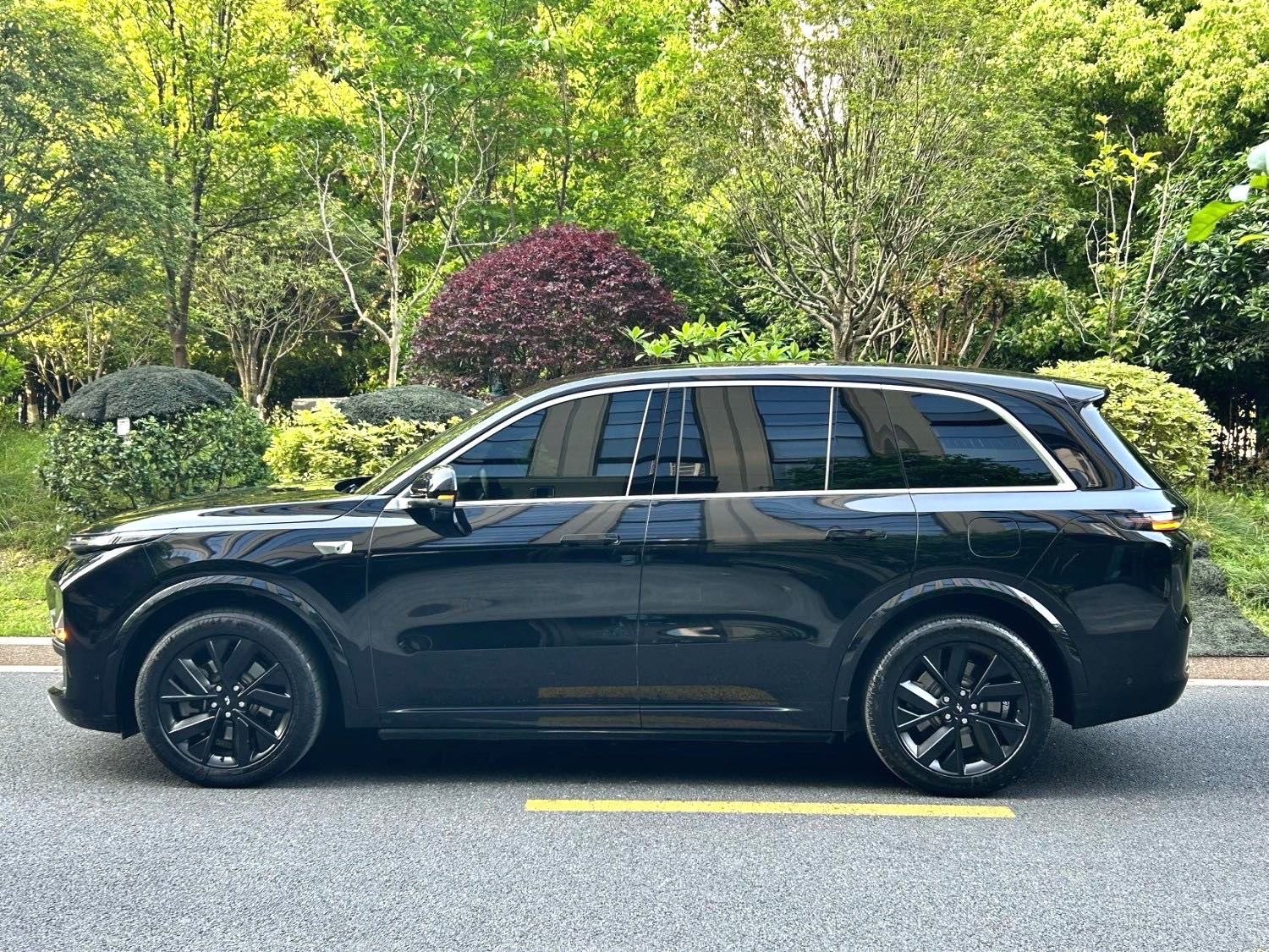 Li Auto L (Liter) 8 Pro