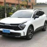 狮铂拓界 Model Year 1.5T 两驱尊贵版