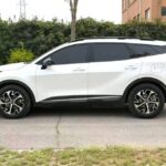 狮铂拓界 Model Year 1.5T 两驱尊贵版