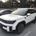 胜达 Model Year 2.0T 探索家 Pro